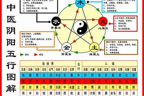 怎么看自己五行|教你快速查自己的五行属性，入门篇（一看就会，一试就废）